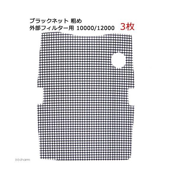 ubNlbg@e߁@OtB^[p@POOOO^PQOOO@R