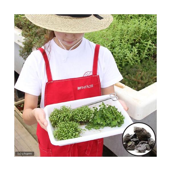 ijO[^@UOCAEgZbgitj@{Bl