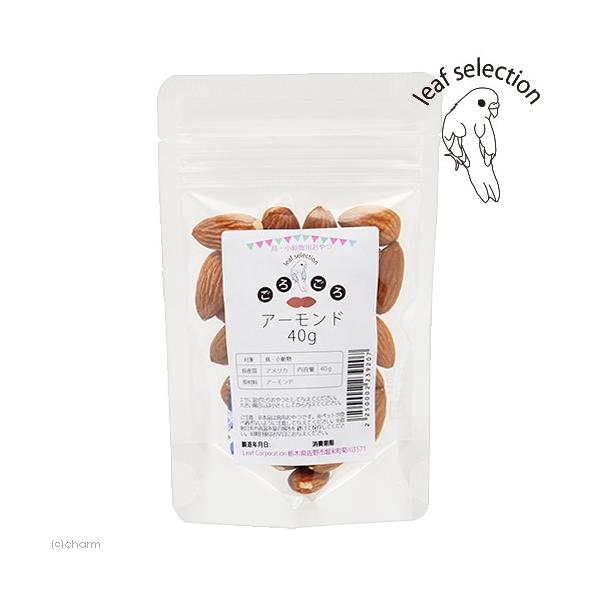 Y@낲A[h@SO@@p̂@I[KjbN@[tZNV