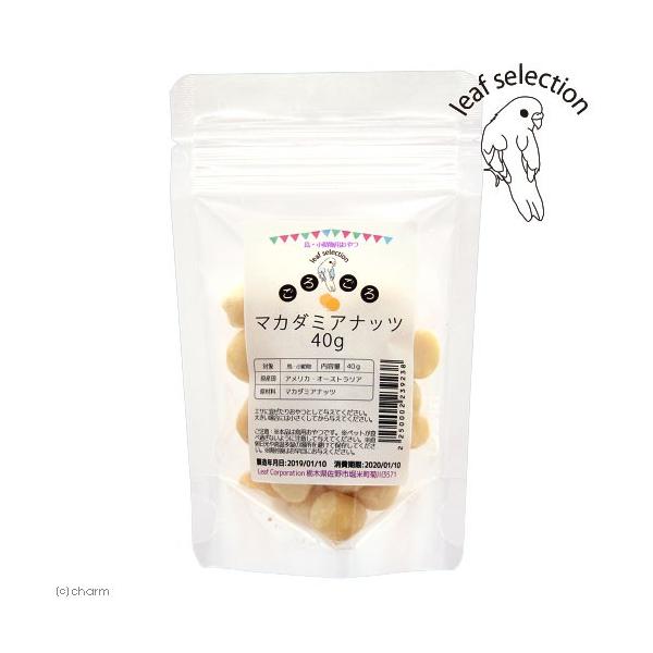 Y@낲}J_~Aibc@SO@@p̂@[tZNV