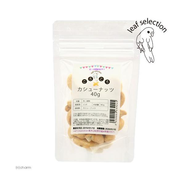 Y@낲JV[ibc@SO@@p̂@[tZNV