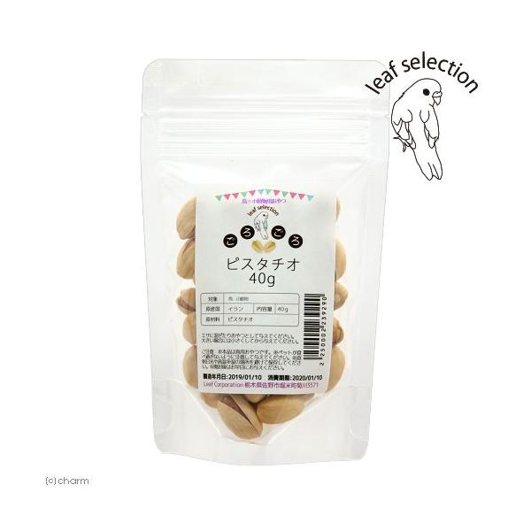 Y@낲sX^`I@SO@@p̂@[tZNV