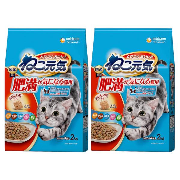 キャットフード　ねこ元気　肥満が気になる猫用　２．０ｋｇ×２袋