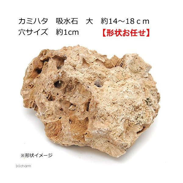 J~n^@z΁@@PS`PW@TCY@P@eE@p_E@@RP