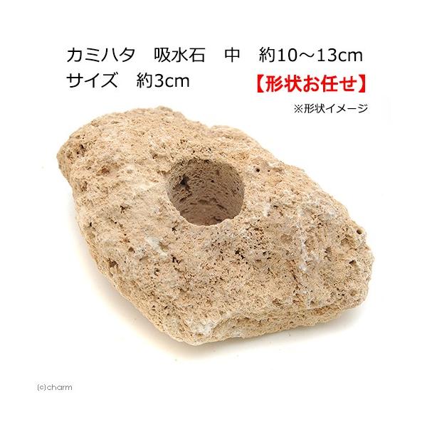 J~n^@z΁@@PO`PR@TCY@R@eE@p_E@@RP