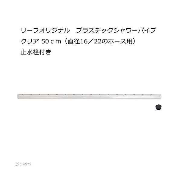 lXȃtB^[Ɏgp\I@vX`bNV[pCv@NA@TO@iaPU^QQ̃z[Xpj@~t