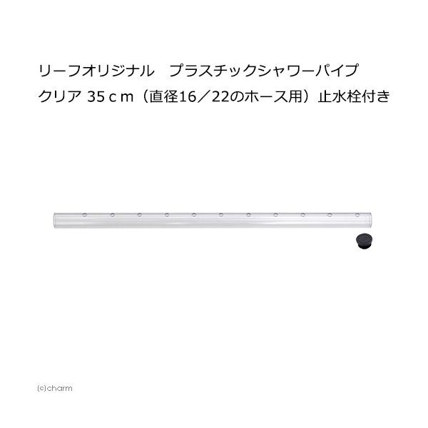 lXȃtB^[Ɏgp\I@vX`bNV[pCv@NA@RT@iaPU^QQ̃z[Xpj@~t