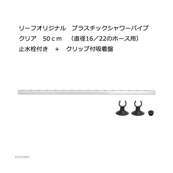 lXȃtB^[Ɏgp\I@vX`bNV[pCv@NA@TO@iaPU^QQ̃z[Xpj@~t{Nbvtz