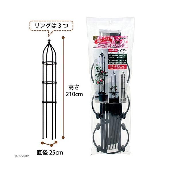 x@c`hl@[YIxXN@ubNO@aQT×QPO