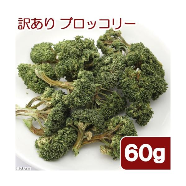 Y@󂠂@ubR[@UO@̂@@nX^[@Y@F