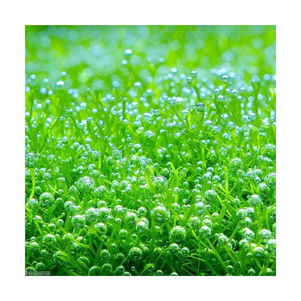 ijVAitji_jiRpbNj@kCEBq֗vۉ