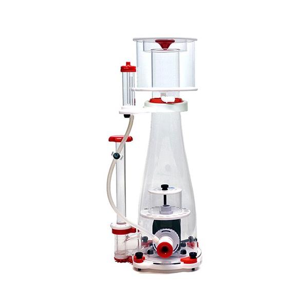 [J[@[XC@veCXL}[@f@cbPTOO@sEʓr