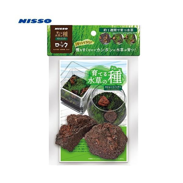 jb\[@Ă鐅̎@Xg[gwA[bN