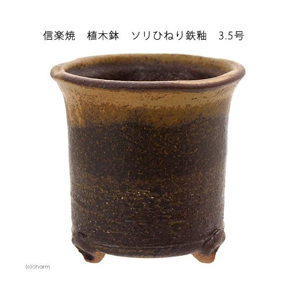 ~͔@Myā@Aؔ@\Ђ˂Sց@RDT@@R쑐@ኄ