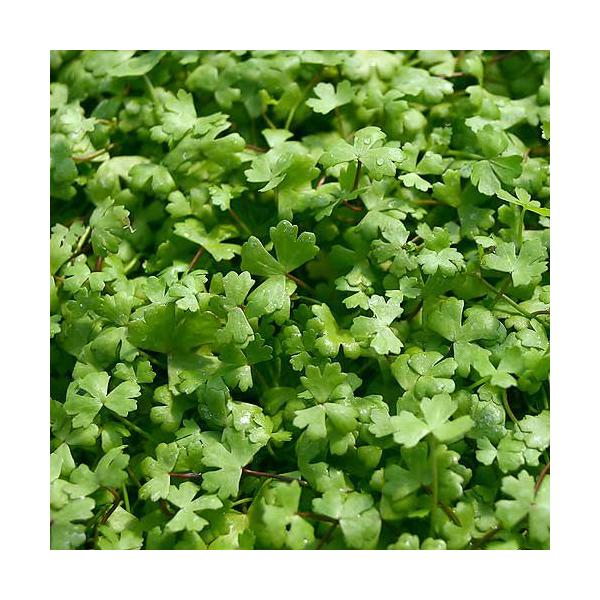 ijI[XgA@m`hitji_jiRpbNj