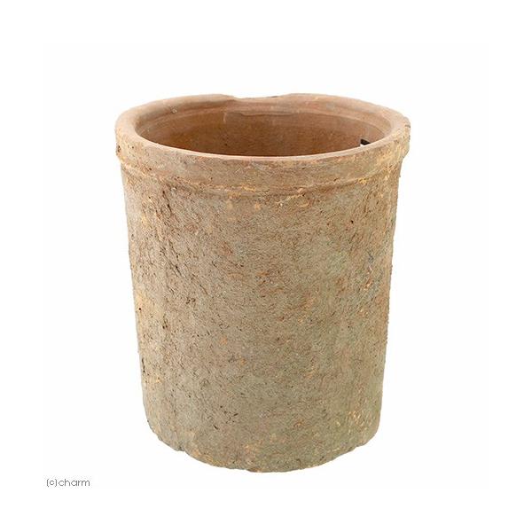 @AeB[N|bg@aPR×PSDT@ԁ@X|bg@V_[@A@R[fbNX@AKx