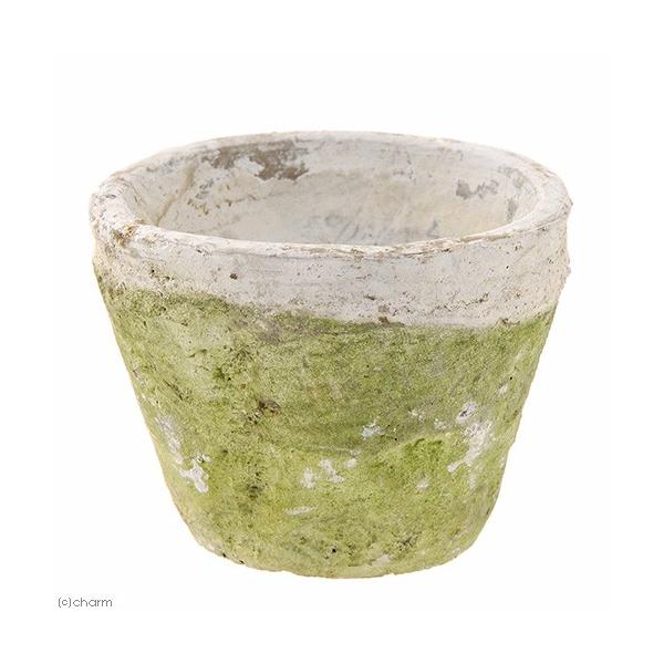 A@AeB[N|bg@aPO×VDT@@X|bg@X^_[h