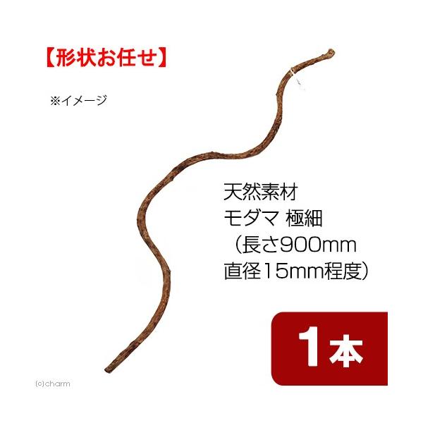 line250910p510anim　_hachu　_kame　naisyoku_syukei　_animal　小動物　１２コンテナ　Leaf　Corp　hwlist　tennenwood07　天然素材　藤の木　トンネル　吊り下げ　大　藤　...