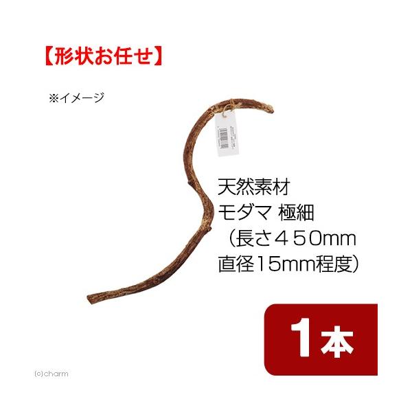 line250910p510anim　_hachu　_kame　naisyoku_syukei　_animal　小動物　１２コンテナ　Leaf　Corp　hwlist　tennenwood07　天然素材　藤の木　トンネル　吊り下げ　大　藤　...