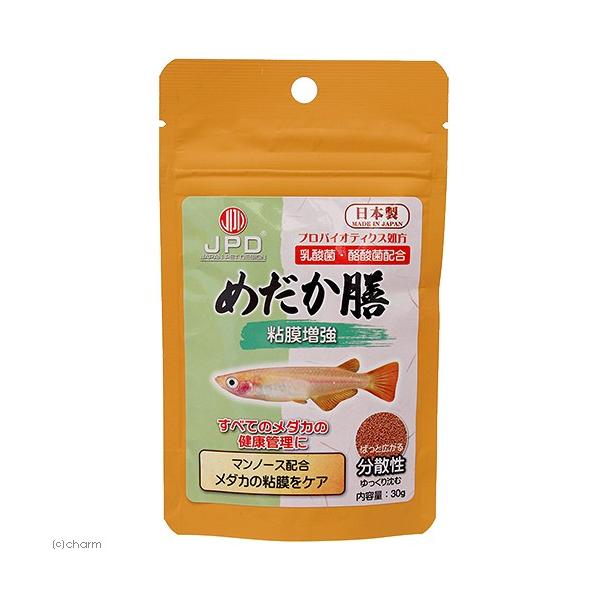 {i@j`hE@߂V@Sp@RO@_J̉a