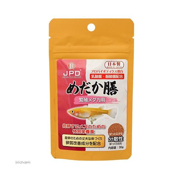 {i@j`hE@߂V@ɐB_Jp@RO@_J̉a@ɐB