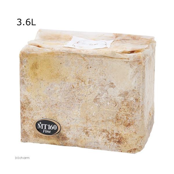 メーカー：微創研 菌糸ブロック　coollogist　夏季クール対応　昆虫用品　kuwagatayotyuugood　飼育用品　クワガタ　菌糸ビン　びそうけん　エムティー　アンタエウス　アンテ　オオヒラタ　ヒラタ　居食い　instop_ki...