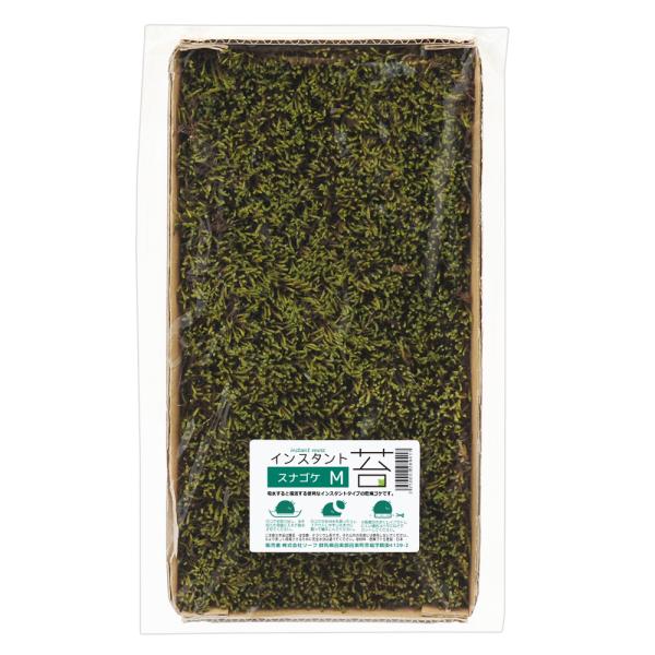 メーカー：(株)リーフ Leaf Corp paludariumplants　パルダリウム　テラリウム　アクアリウム用品　_hachu　_gardening　_aqua　_kame　スナゴケＭ　ドライタイプ　日本製　苔　モス　ビバリウム　盆...