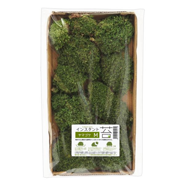 メーカー：(株)リーフ Leaf Corp アクアリウム用品　_gardening　_aqua　_hachu　_kame　ヤマゴケＭ　ドライタイプ　日本製　コケ　乾燥コケ　乾燥ゴケ　水で目覚める　アクア用品　レイアウト用品　テラリウム　カニ...