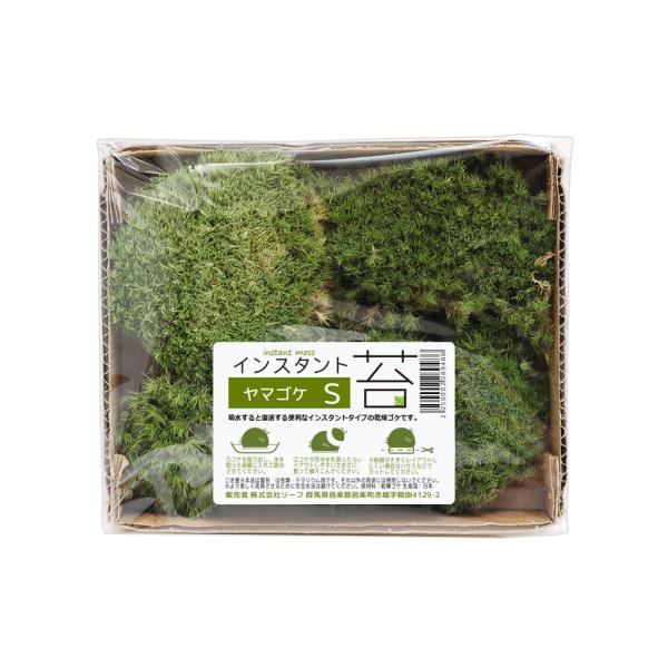 インスタント苔 ヤマゴケｓ 外径１４ｃｍ １２ｃｍ ドライタイプ チャーム Charm Paypayモール店 通販 Paypayモール