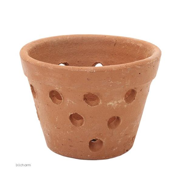 素焼き鉢の価格と最安値 おすすめ通販を激安で 鉢 プランター関連