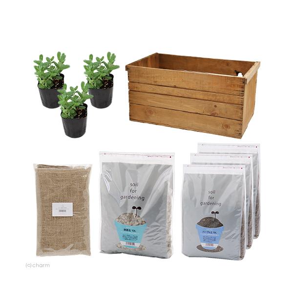 iϗtAj񂲔K[f@Abv~g͔|Zbg@AeB[Ndā@܁Ey΍E|{yt@s