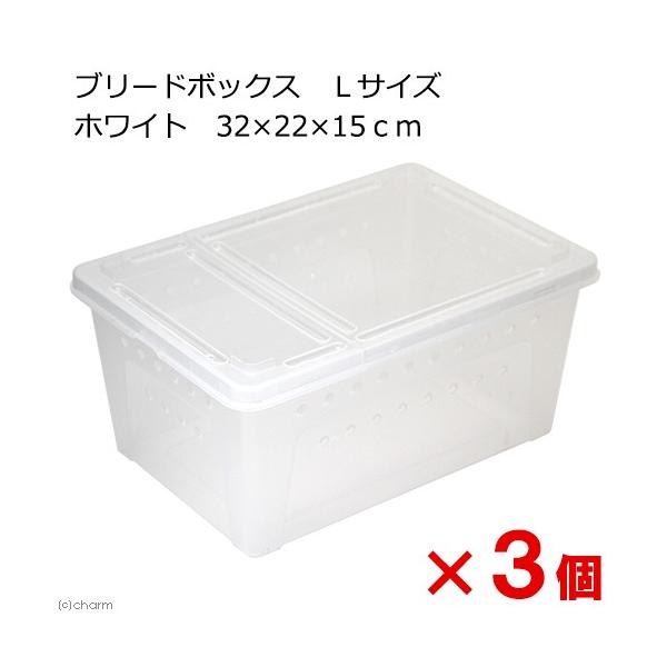 ঒ރP[W@u[h{bNX@kTCY@zCg@RQ×QQ×PT×R