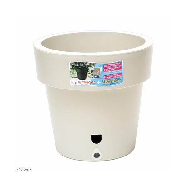 @avX`bN@EH[^[vX@RO^@AC{[@ʋ