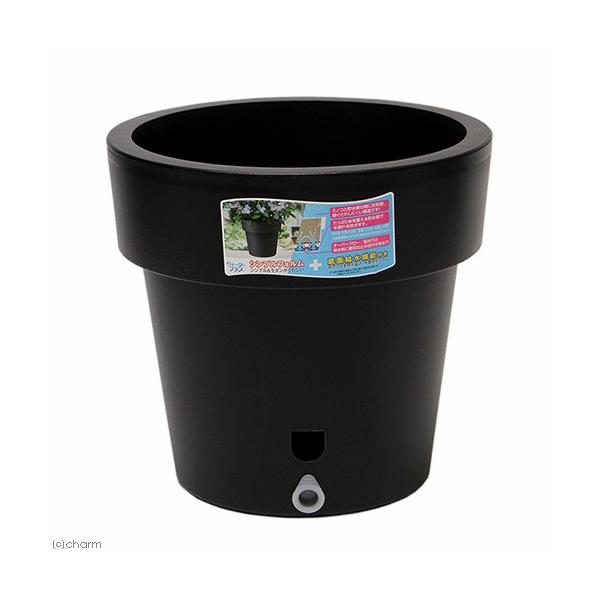 @avX`bN@EH[^[vX@RO^@ubN@ʋ