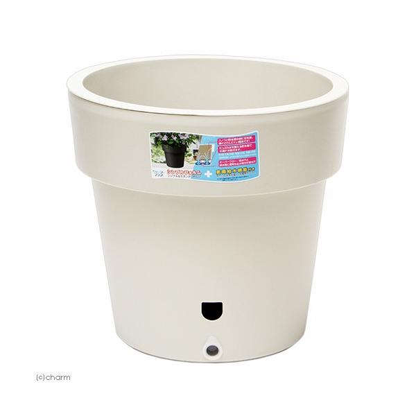 @avX`bN@EH[^[vX@RT^@AC{[@ʋ