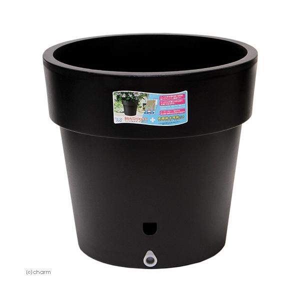 @avX`bN@EH[^[vX@SO^@ubN@ʋ