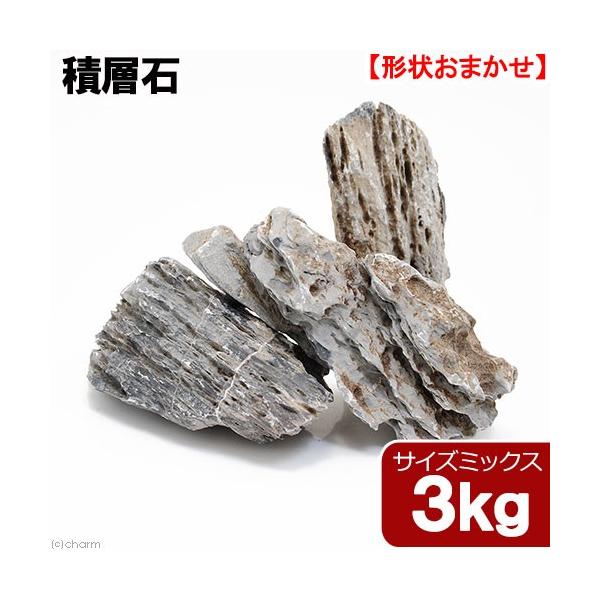 `󂨔C@ϑw΁@TCY~bNX@R@RO@ANAE@CAEgf