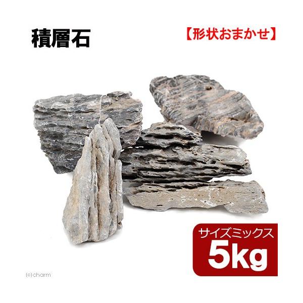 形状お任せ 積層石 サイズミックス 5kg(約5〜25cm) アクアリウム テラリウム レイアウト素材 :229954:チャーム charm ヤフー店 通販 形状お任せ 輝隆石 サイズミックス 3kg(約5〜20cm) アクアリウム テラリウム レイアウト素材