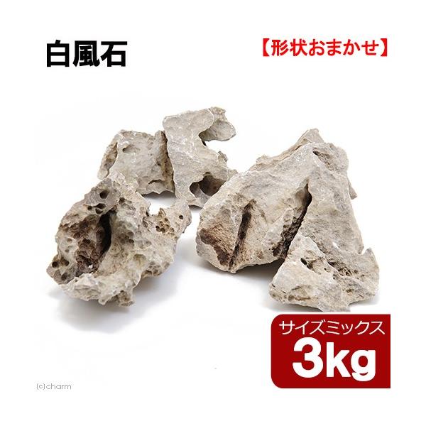 `󂨔C@΁@TCY~bNX@R@RO@ANAE@CAEgf