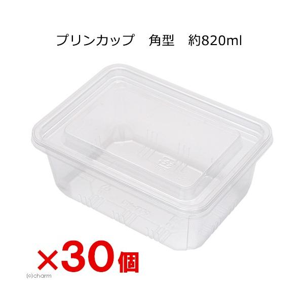 プリンカップ 飼育ケース 昆虫」の人気商品一覧 | 安い商品を