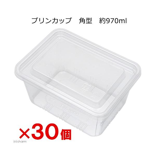 vJbv@p^@XVO×RO@ہ@@ɐB@XgbN