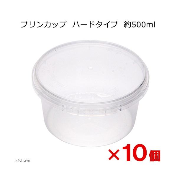 vJbv@n[h^Cv@TOO×PO@JugV@NK^@@c@ɐB@ۑe