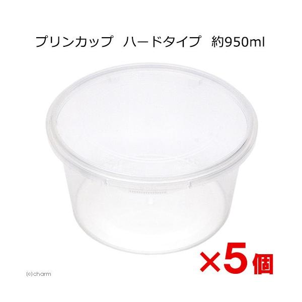 vJbv@n[h^Cv@XTO×T@JugV@NK^@@c@ɐB@ۑe