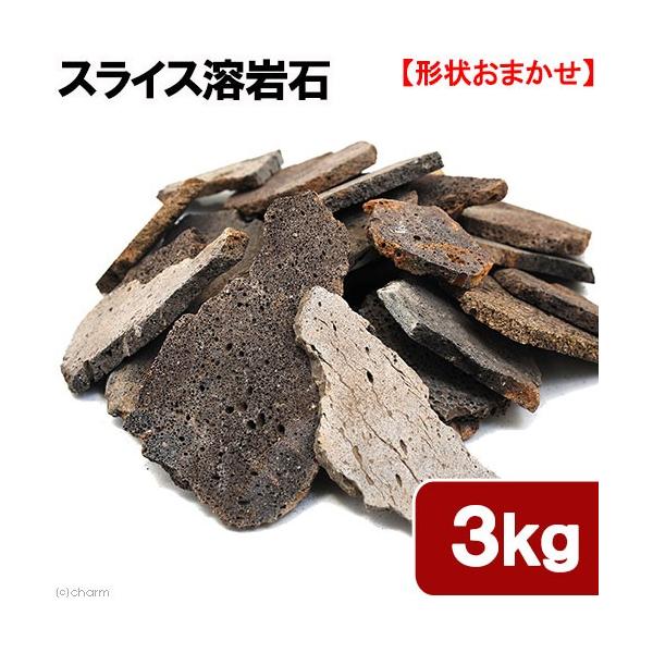 `󂨔C@XCXn΁@TCY~bNX@R@RO@ANAE@CAEgf