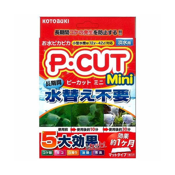 RguLH|@oEJbg@~jSQ@RPh~@P@^