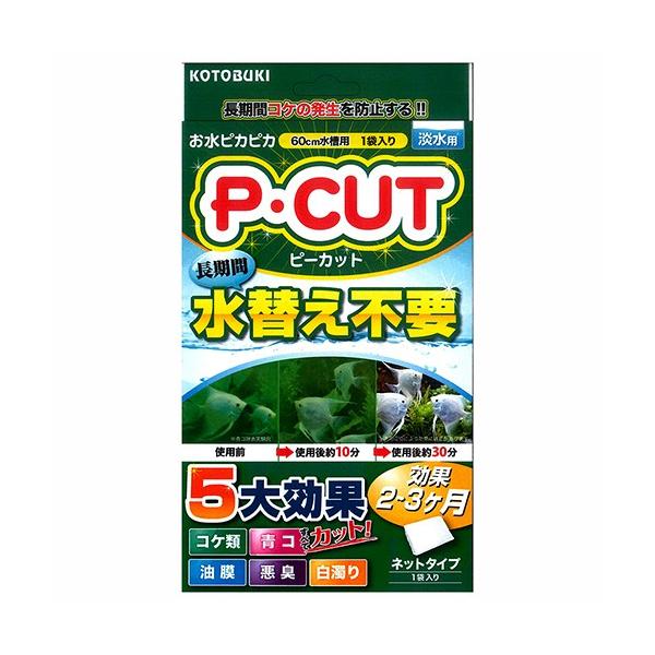 RguLH|@oEJbg@lbgUO@RPh~@Q`R