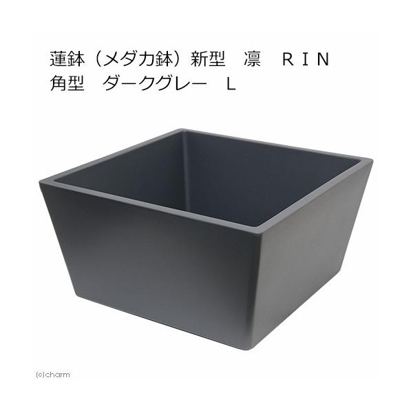 @@[J[@@i_Jj@V^@z@qhm@p^@_[NO[@k@@EE_J@s