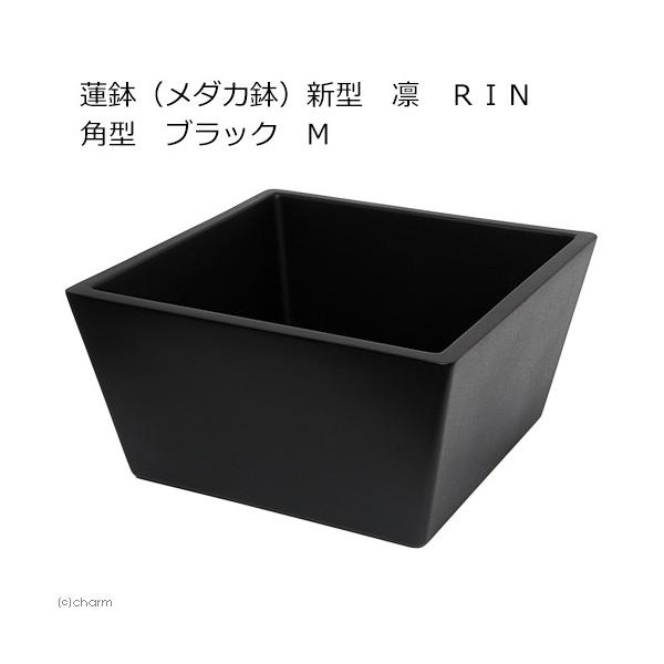 @@[J[@@i_Jj@V^@z@qhm@p^@ubN@l@@EE_J@s