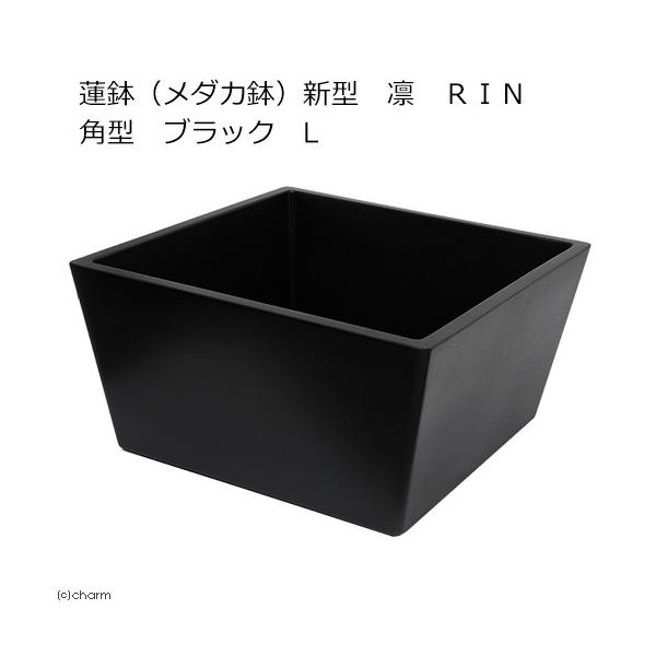 @@[J[@@i_Jj@V^@z@qhm@p^@ubN@k@@EE_J@s