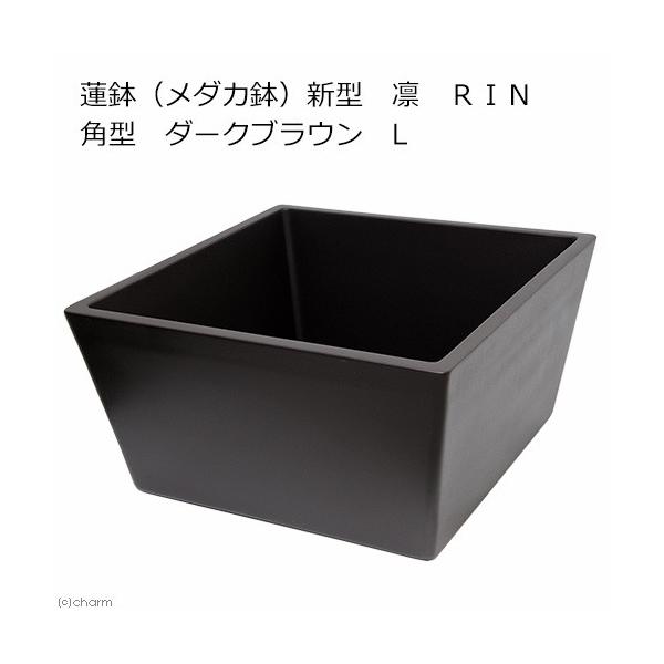 @@[J[@@i_Jj@V^@z@qhm@p^@_[NuE@k@@EE_J@s